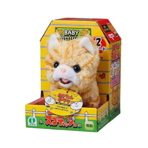 日本 伊娃呀IWAYA甜甜屋-蘇格蘭摺耳貓~日本暢銷電子寵物