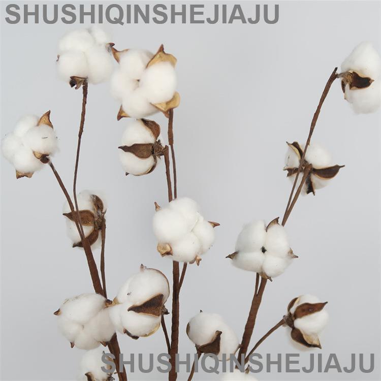 滿280元出貨 仿真花 假花 可開發票 天然模擬乾花棉花幹樹枝家居擺件客廳裝飾假花藝婚慶插花配花