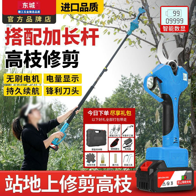 {保固一年 可打統編}東城無線鋰電修枝剪刀充電式強力剪樹枝高空果樹修剪電動園藝工具