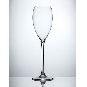 《RONA樂娜》Le Vin 樂活香檳杯-260ml (2入)