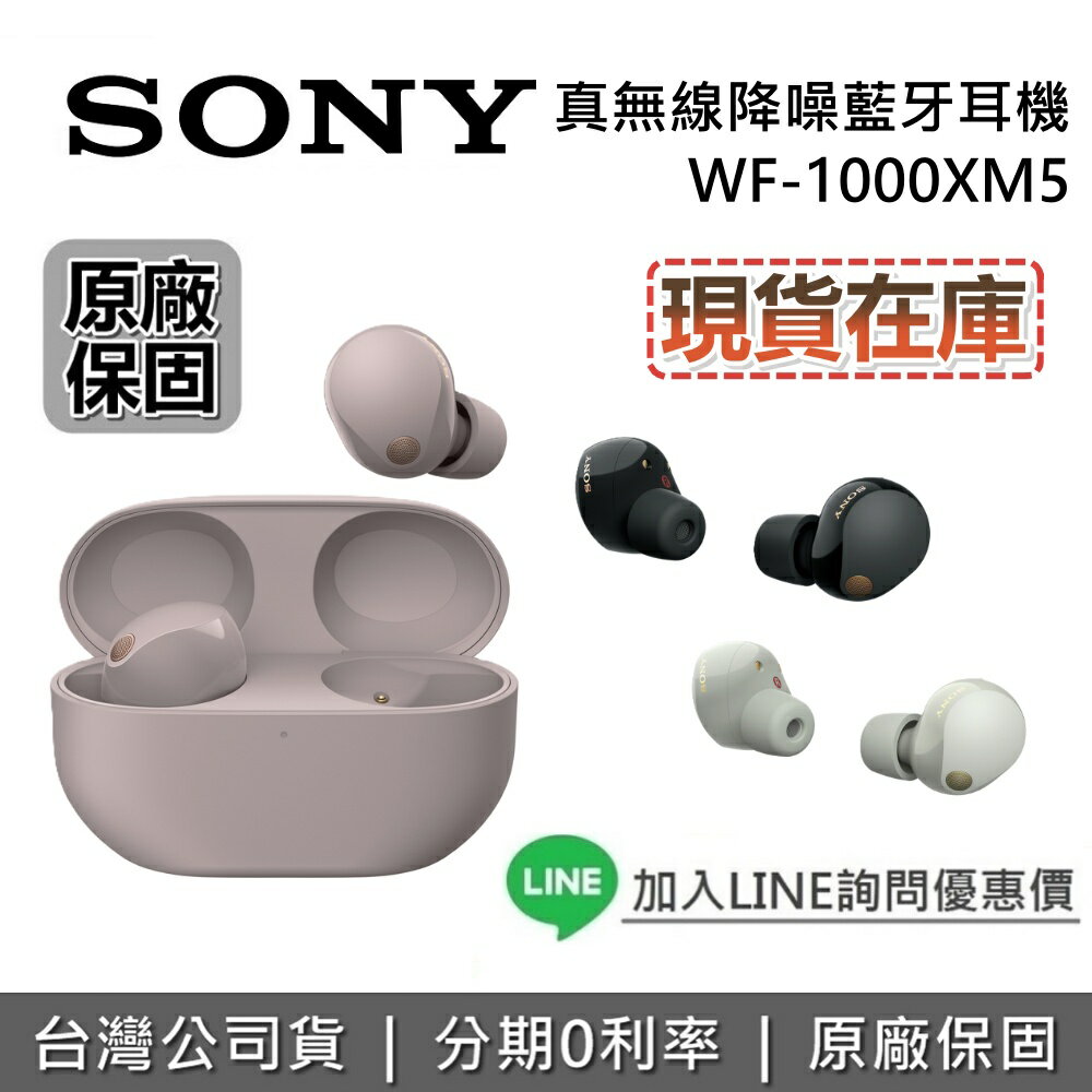 【全館領券再折+限時下殺】SONY 索尼 WF-1000XM5 真無線降噪藍牙耳機 降噪藍牙耳機 藍芽耳機 台灣公司貨