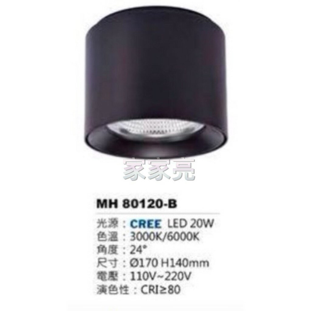 (A Light) MARCH LED 20W 黑殼 筒燈 白光 黃光 吸頂筒燈 20瓦 MH 80120-B