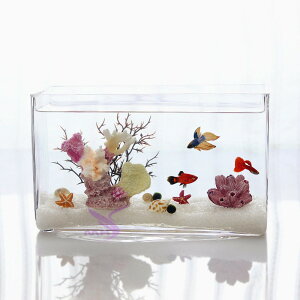 長方形玻璃魚缸 斗魚缸 辦公室桌面魚缸 孔雀魚缸 一次成型1入