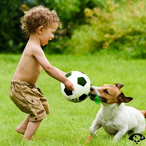 狗狗足球玩具易叼戶外寵物玩具拋擲互動易銜取18cm大中小型犬玩具