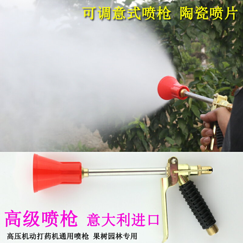 高壓噴霧槍果樹園林噴槍義大利進口打藥機可調霧化手壓槍水槍農用