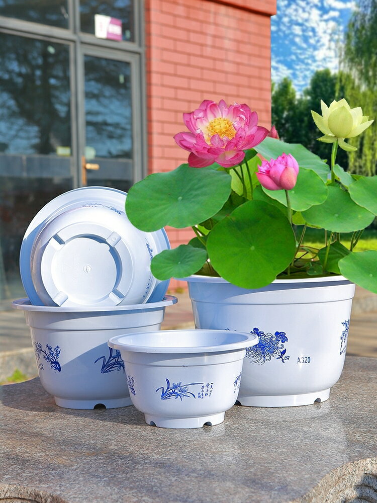 無孔水培荷花盆綠植睡蓮盆栽特大塑膠加厚銅錢草碗蓮盆缸庭院陽臺/花盆/綠植盆/養植盆/養花盆/陶瓷盆/塑料盆