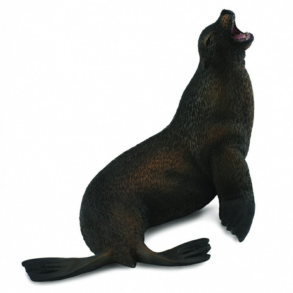 動物模型《 COLLECTA 》海獅