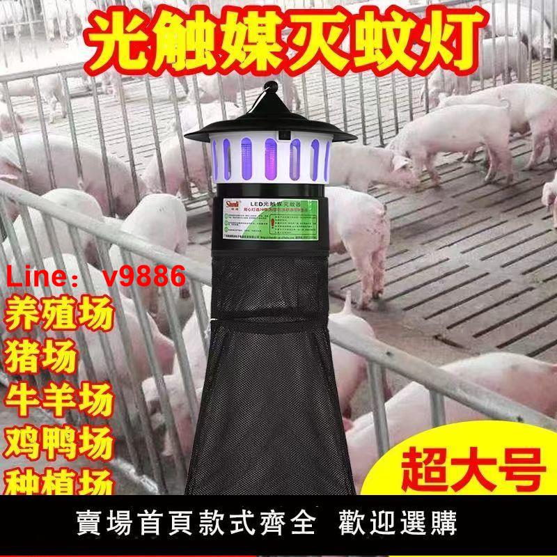 【臺灣公司 超低價】養殖場滅蚊燈豬場專用捕蚊捉蚊子室外蒼蠅神器戶外商用庭院花園蚊