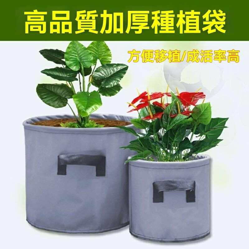 牛津布 種植袋 樓頂種菜育苗袋 植花 陽臺 多肉種植袋 營養袋 蔬果美植袋 美植袋加高 種菜專用袋6