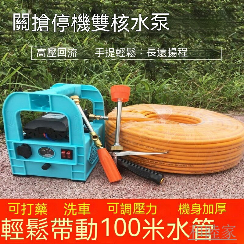 電動高壓小型消毒打機 農噴霧器 農用傢用打機 手提式電動噴霧器 鋰電池打機 多功能澆水壺 鋰電噴霧機 消毒噴霧器