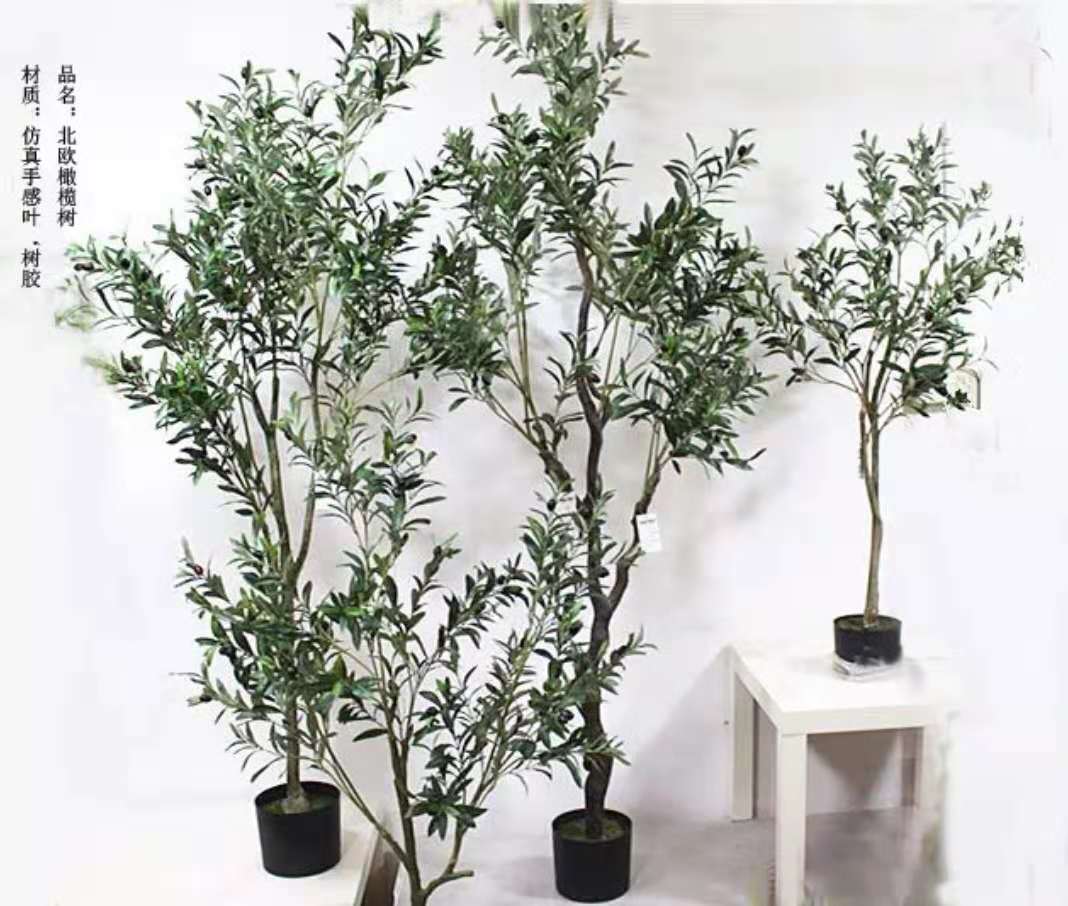大型模擬橄欖樹榕樹蕨草旅人蕉發財樹盆景花藝造景室內裝飾
