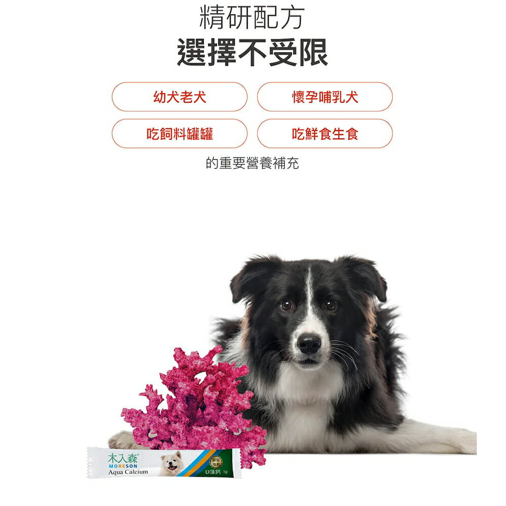 ＵＴＯ｜ 木入森 犬寶D藻鈣 專業獸醫推薦 4
