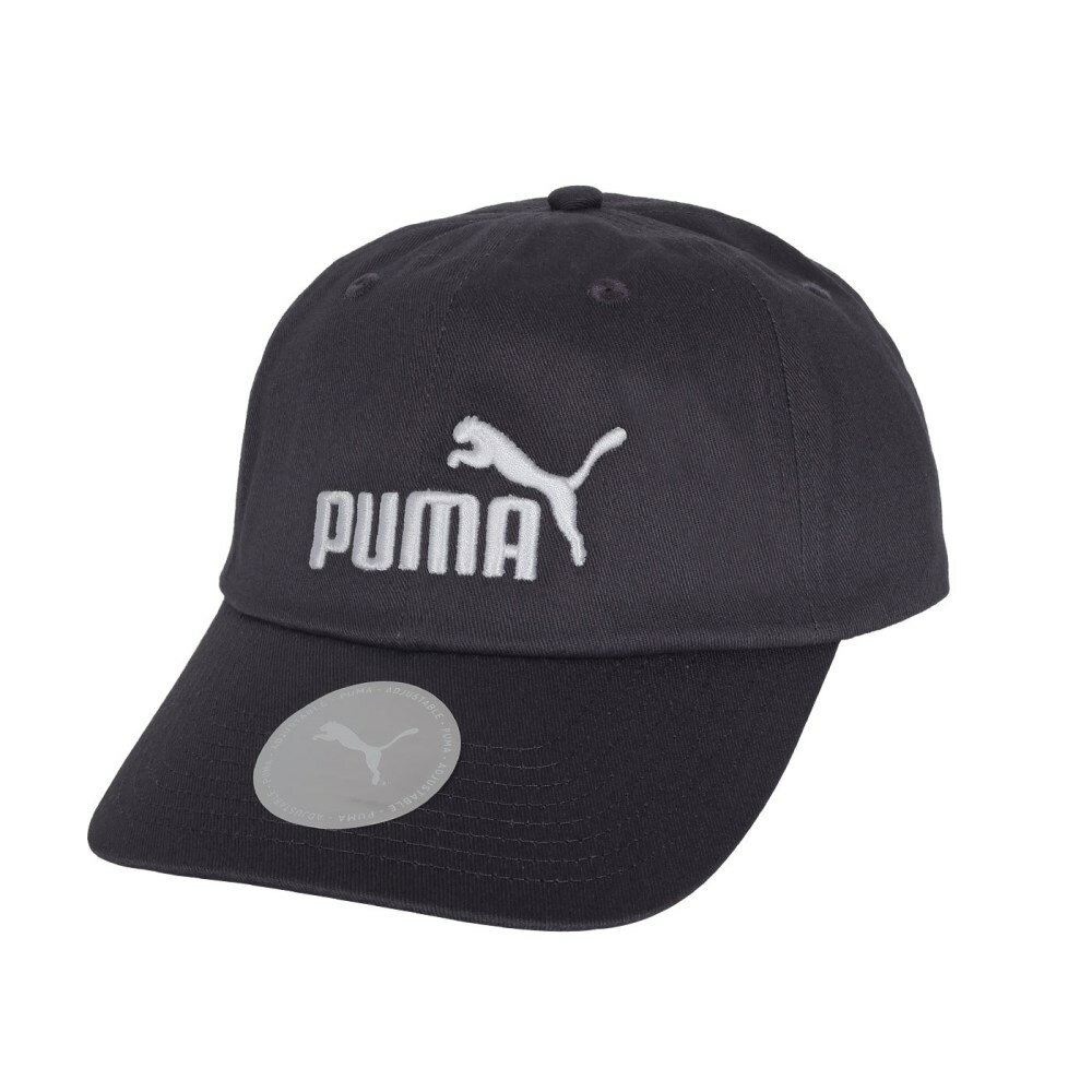 PUMA 基本系列 No.1 棒球帽(防曬 遮陽 棒球帽 運動 帽子「02435718」≡排汗專家≡