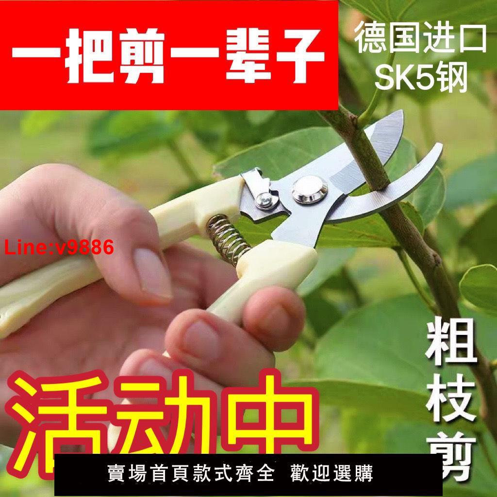 【臺灣公司 超低價】德國進口鋼粗枝剪省力修枝剪刀園藝修花木果樹嫁接園林剪工具