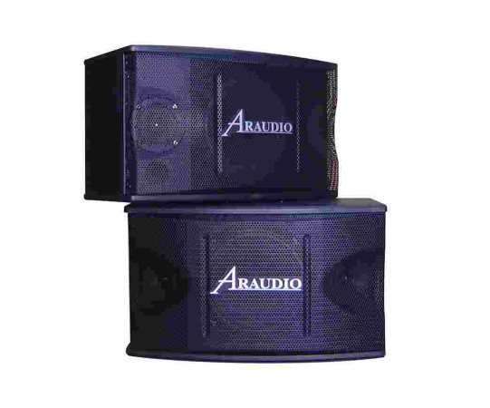 ARAUDIO 二音路三單體低音反射式懸吊喇叭 AR-350 懸吊式喇叭 卡拉OK伴唱機喇叭AR350