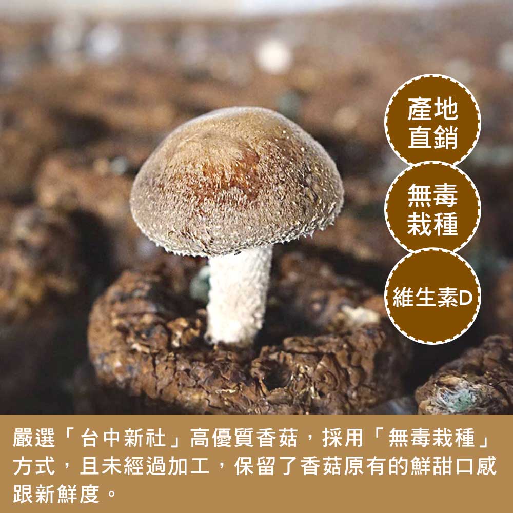 【愛D菇】經濟小包-乾香菇(大菇) 2