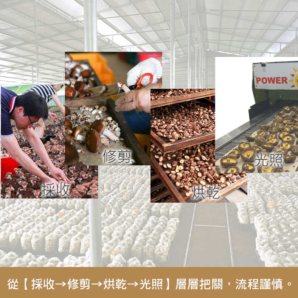 【愛D菇】經濟小包-乾香菇(大菇) 4