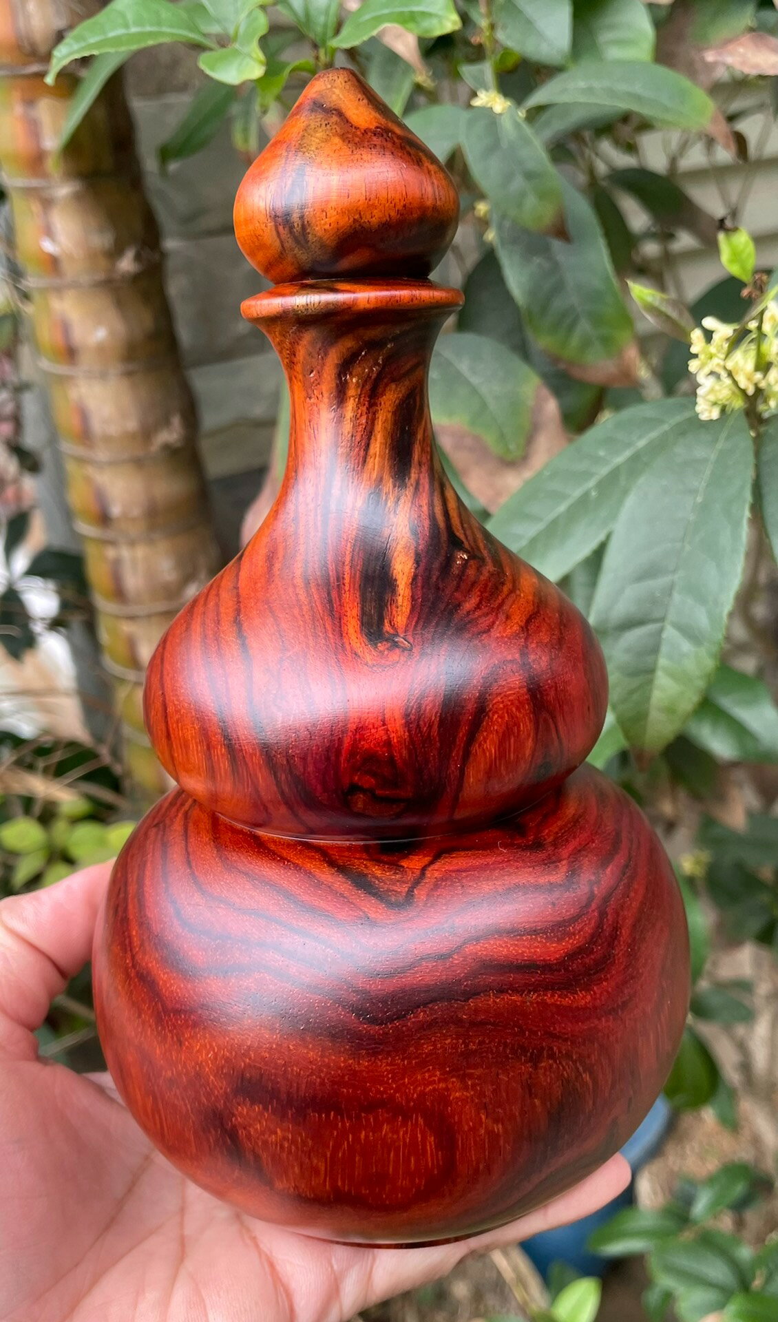 整木大紅酸枝紅木葫蘆 酸枝木木雕風水葫蘆擺飾