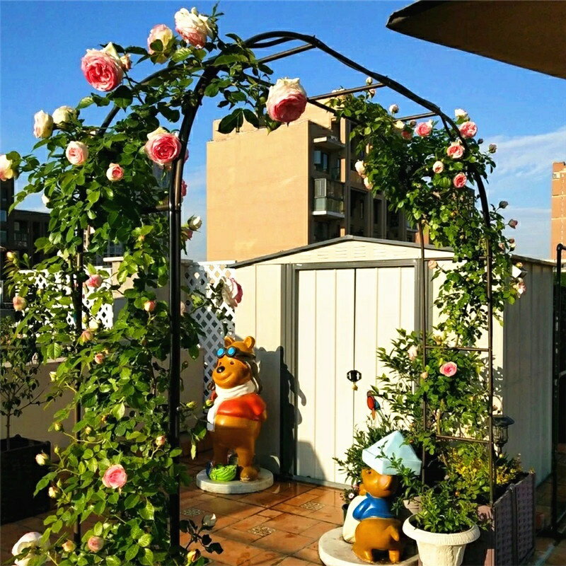 鐵藝拱門花架爬藤架葡萄架花園月季鐵線蓮攀爬花支架戶外植物架子,家門口，支援貨到付款側寬40CM