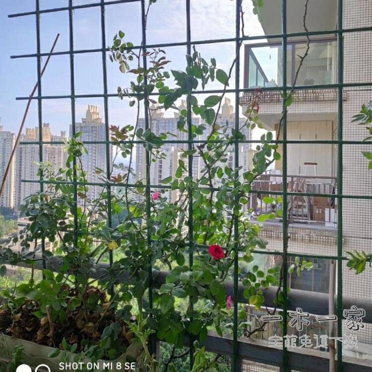 爬藤花架 花架爬藤支架桿戶外植物豆角黃瓜葡萄架種菜架子包塑鋼管園藝支架