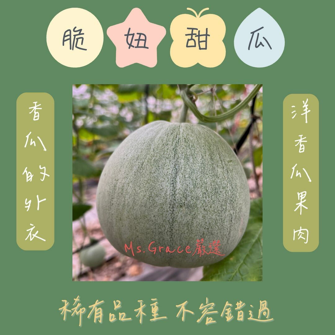 2026/7月 預購 頂級新寵 脆妞甜瓜 產地直送 免運