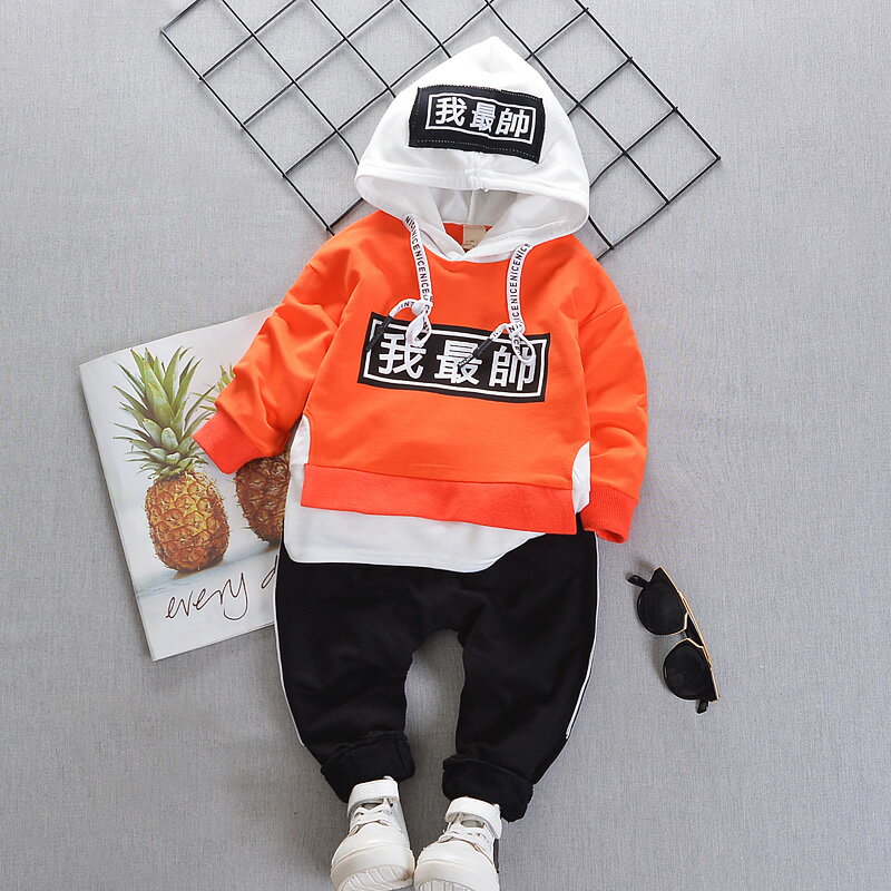男童長袖套裝春秋季新款兒童兩件套1-2-3歲寶寶洋氣春裝童裝 1