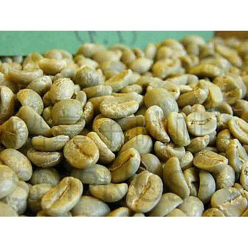 『船鼻子生豆』肯亞 祈安布 雅拉莊園 單一莊園 AA TOP Kiambu Yara Estate AA