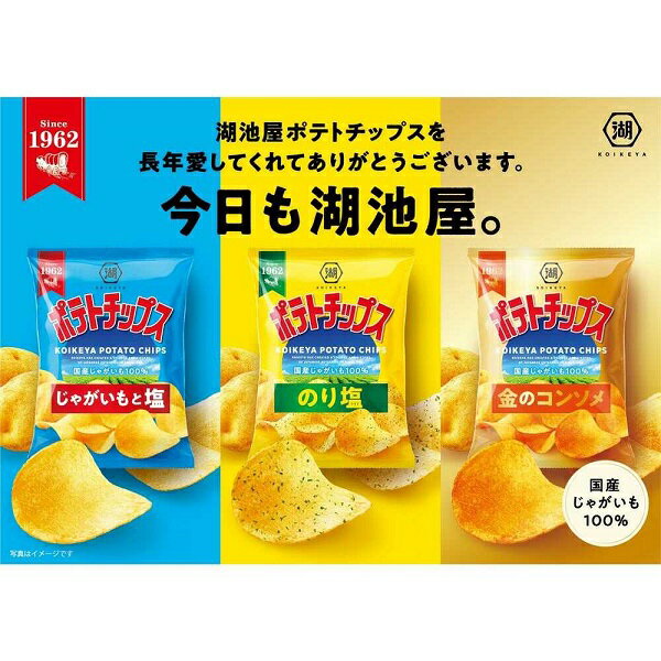 【江戶物語】 (特價) KOIKEYA 湖池屋 超大袋 洋芋片 雞汁/薄鹽/海苔鹽風味 122g L size 日本進口