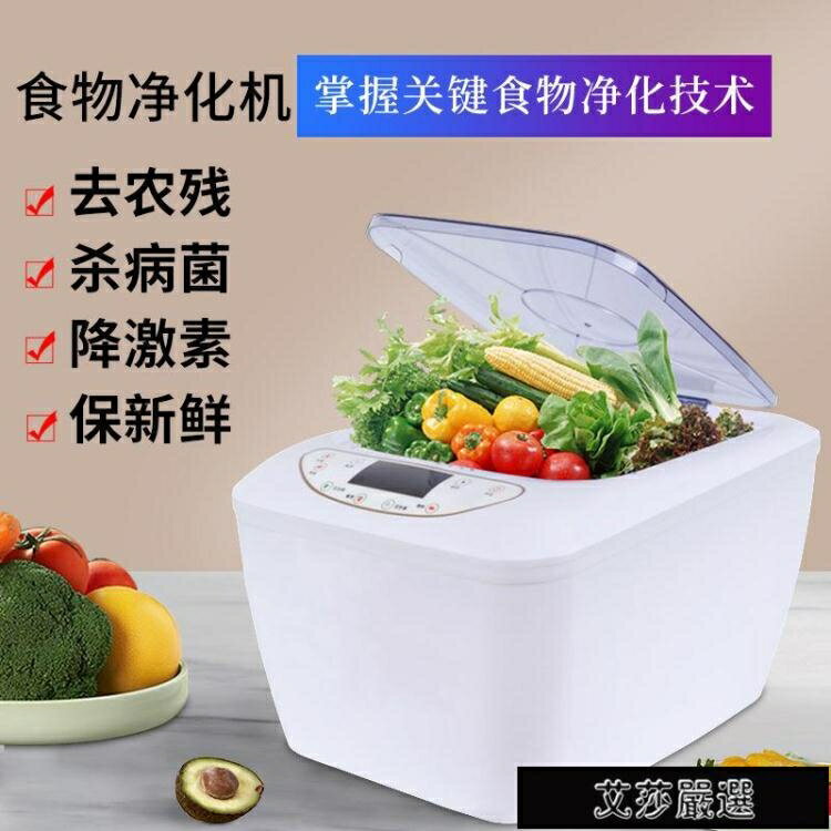果蔬清洗機全自動洗菜機消毒蔬菜果蔬類清洗機食材凈化殺菌活氧解毒凈化器