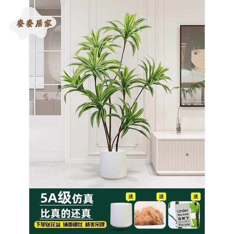 美人鐵假樹 模擬綠植 高階輕奢 仿生植物 客廳裝飾假綠植室內盆栽擺件[DD0329003]