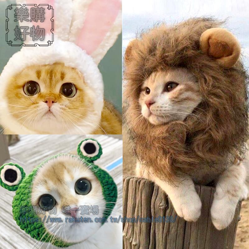 寵物貓獅子頭套兔子貓貓帽子可愛節頭飾裝扮