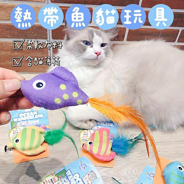 『台灣x現貨秒出』熱帶魚羽毛貓薄荷貓草包寵物玩具 貓草玩具 貓玩具 貓咪玩具 貓薄荷玩具 羽毛玩具