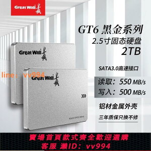 {最低價 公司貨}長城512G固態硬盤256G 2T 臺式機筆記本電腦硬盤SSD 1T固態盤批發