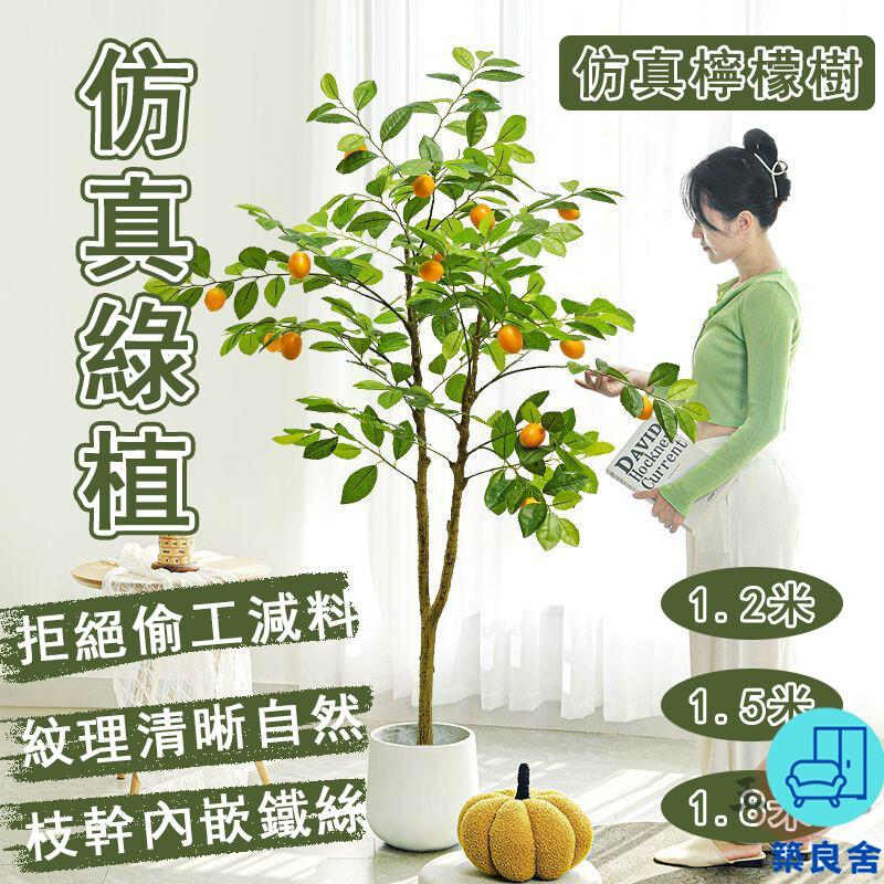 附發票 工廠直銷 【宅配免運】模擬檸檬樹 假綠植 擺飾假花 落地盆栽 模擬綠植 仿真植物盆栽 客廳裝飾綠植 仿真植物 裝飾盆栽特惠/全館折扣 售後保障 可開發 zl548