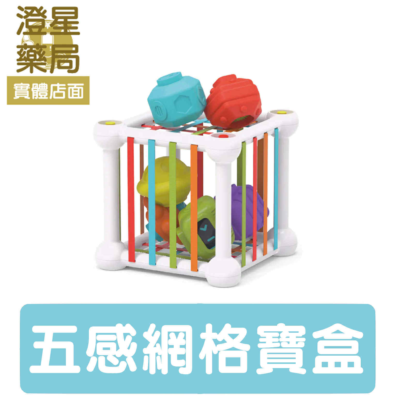 ⭐ Googoogaga 五感網格寶盒 (塞塞樂)  觸覺玩具 感覺統合 寶寶玩具