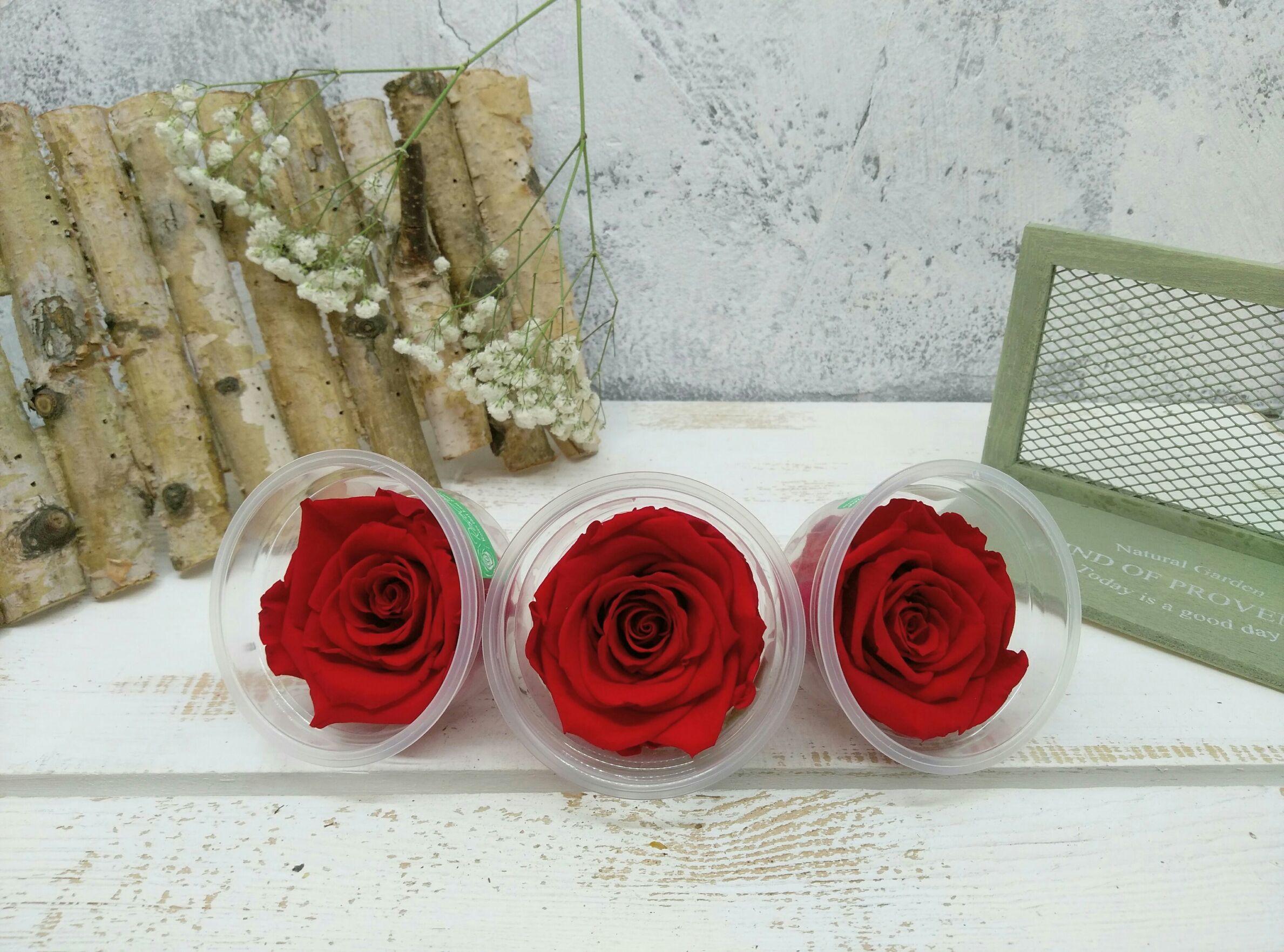 [優波羅花] 大紅不凋玫瑰  乾燥花系列