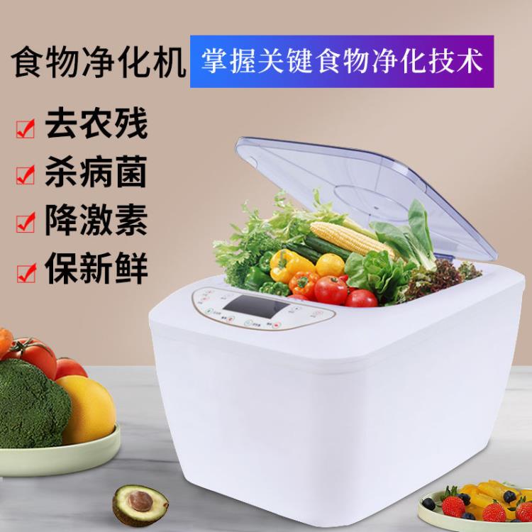 果蔬消毒機 東菱全自動洗菜機消毒蔬菜果蔬清洗機食材凈化殺菌活氧解毒凈化器