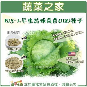 【蔬菜之家】B15-1.早生結球萵苣(118)種子(共有2種包裝可選)