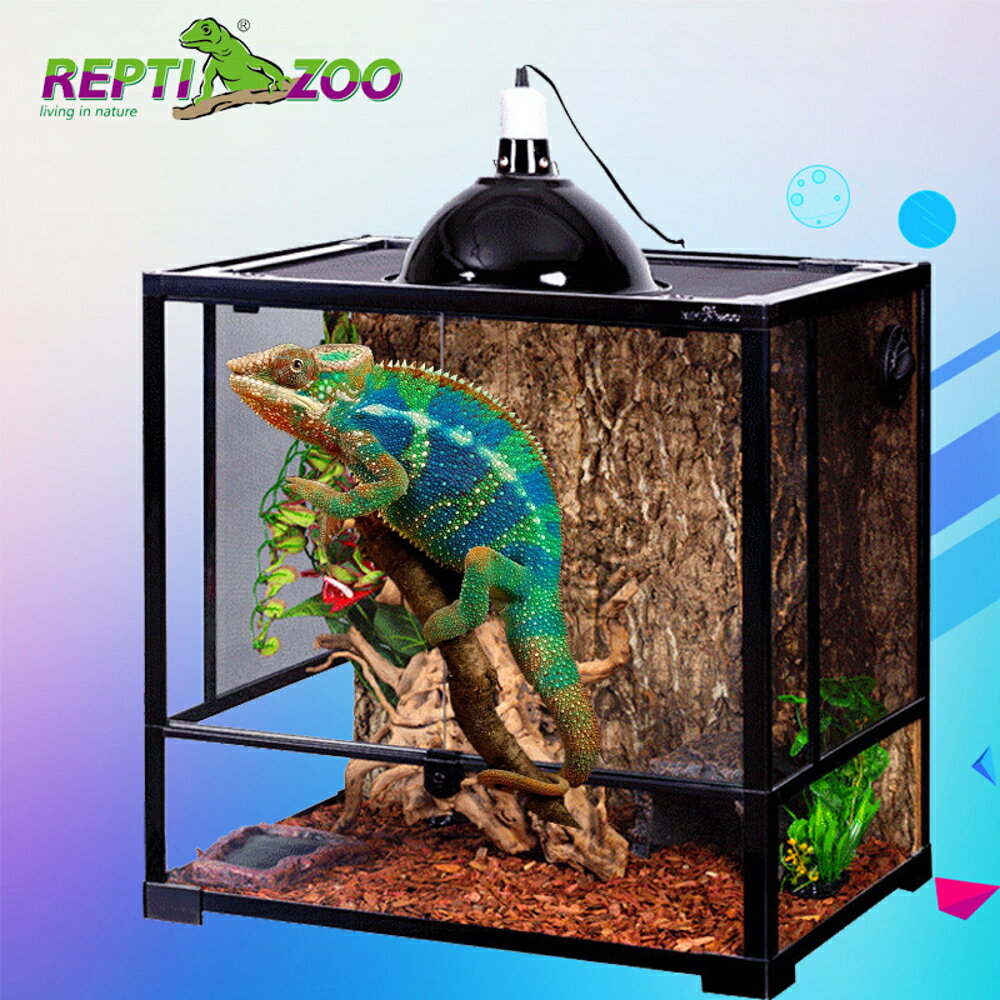 飼養箱 寵物爬蟲守宮變色龍綠鬣蜥蜴活體玻璃雨林缸 全館85折起 JD