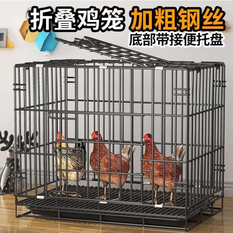 雞籠 雞籠家用小號大號特大號下蛋鴨子鵝家禽折疊養殖籠雞窩雞舍雞籠子