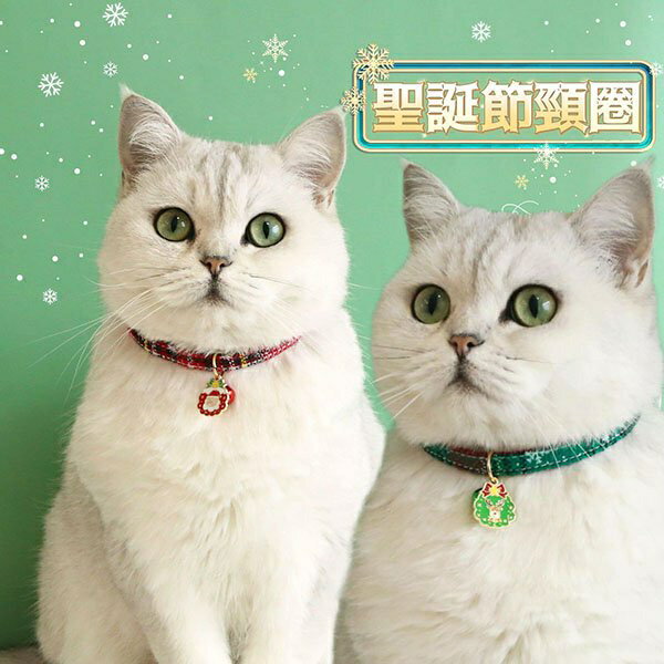 『臺灣x現貨秒出』聖誕節雪花格印花安全扣寵物項圈 貓咪項圈 貓項圈 貓咪頸部裝飾 狗項圈