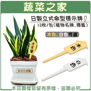 【蔬菜之家011-AZ8.9】日製立式傘型標示牌12枚/包 (木色、白色可選)植物名牌.標籤