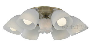 【燈王的店】柏拉圖 設計師新款 半吸頂燈 6+1 燈 客廳燈 房間燈 餐廳燈 A3514/6+1 ( DM商品)