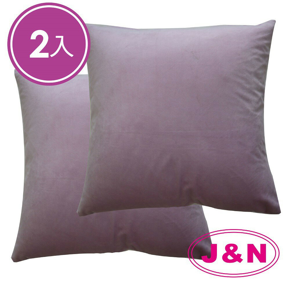 【J&N】LARIA 雙面抱枕60*60紫色(---2入)