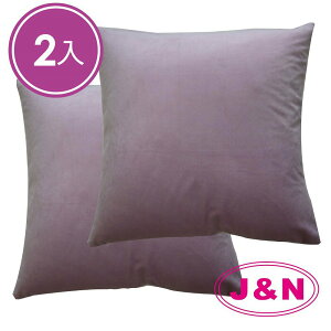 【J&N】LARIA 雙面抱枕60*60紫色(---2入)