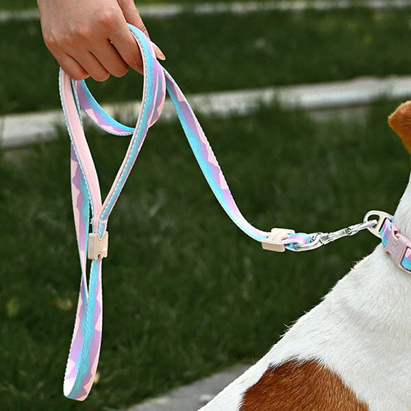 【VitalWave 元氣光波】漸變山海系列 牽引繩 (寵物牽繩 牽引繩)