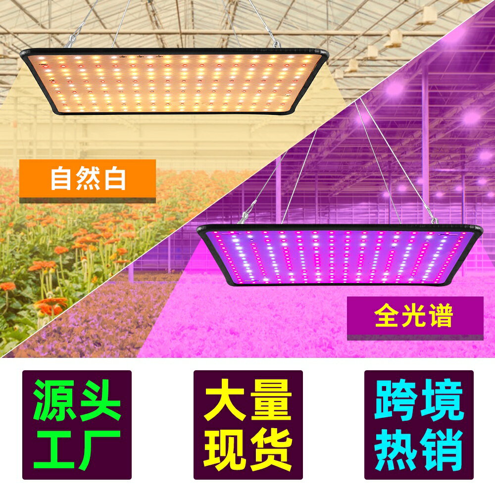 LED植物生長燈全光譜2000W量子板植物燈補光110V室内蔬菜種植燈園藝溫室花朵多肉綠葉植物水培