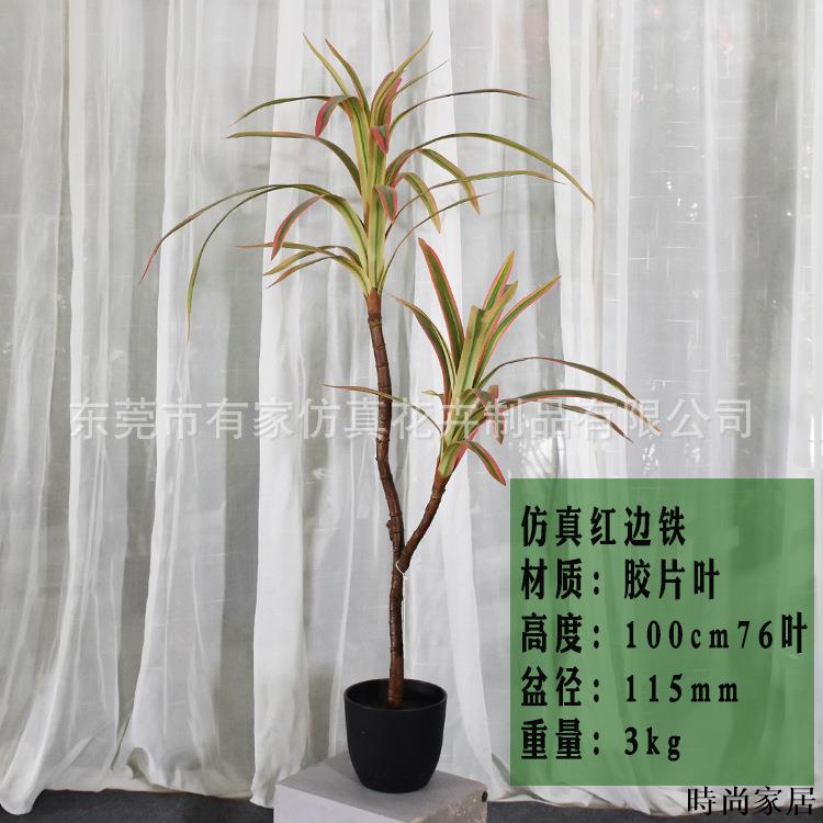 免運 附發票 工廠直銷 模擬樹 模擬擺件 綠植軟裝專供模擬龍血鐵樹北歐巴西木假盆栽裝飾人造熱帶植物景觀造景WW0720