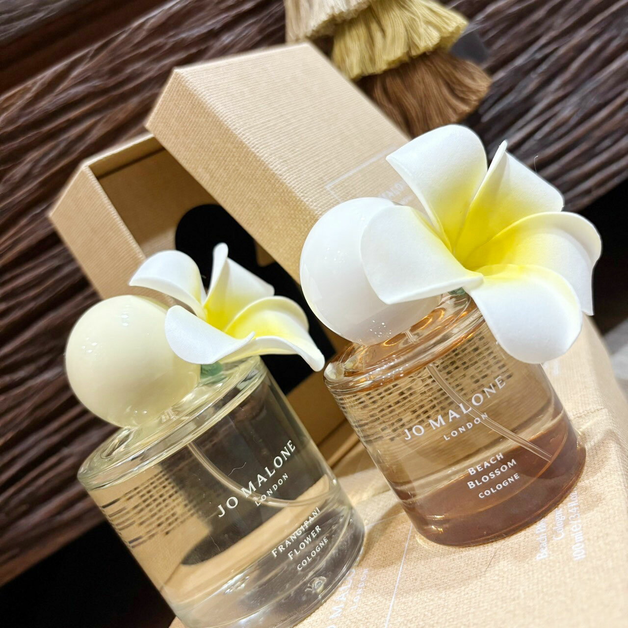2025 新香〖Jo Malone〗棕櫚秘境 香水 雞蛋花 萊姆 椰子水 限定 限量 海嶼花園 亞洲花