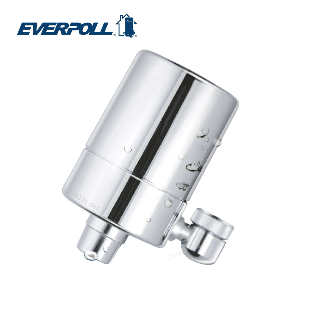EVERPOLL MK-802微分子潔膚洗顏活水器 大大淨水